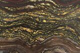 Polished Tiger Iron Stromatolite Slab - Billion Years #222953-1